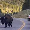Wyoming ban electric vehicles