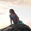 The Little Mermaid