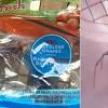 Black widow spider grapes